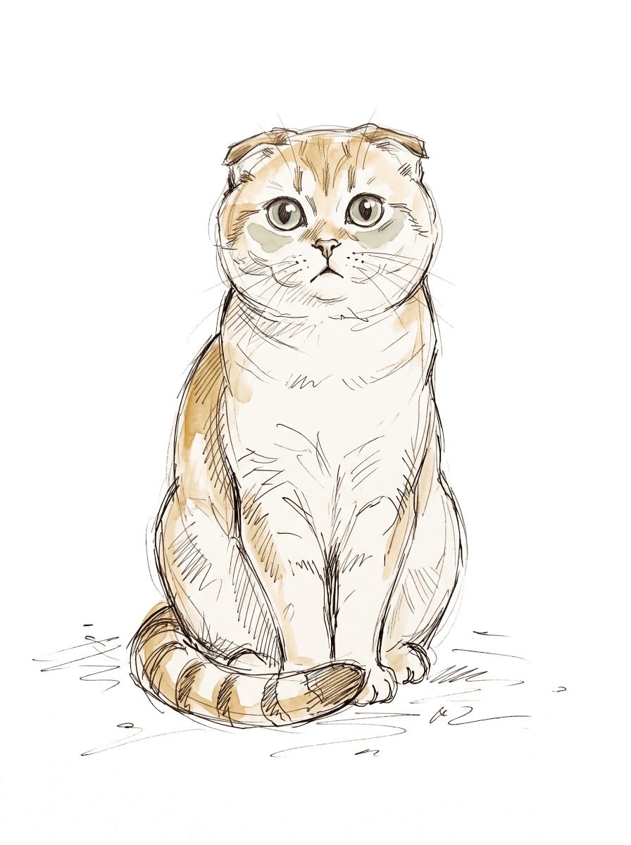 A cat watching over the scales