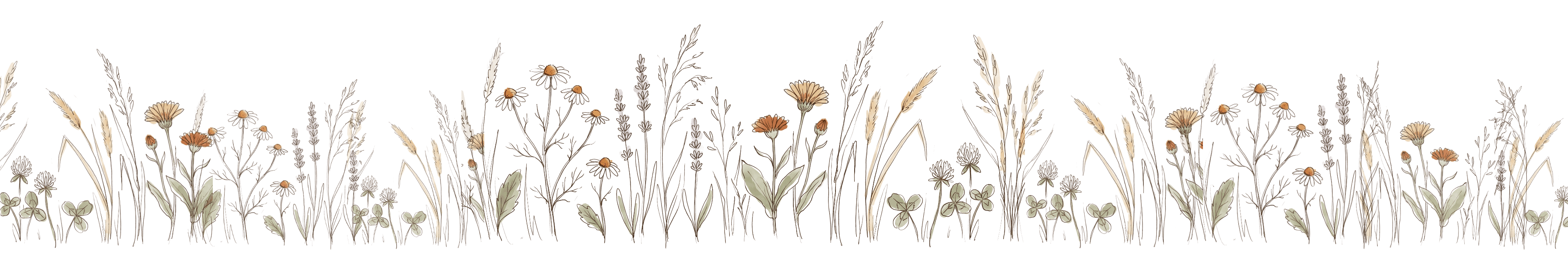 A band of meadow herbs — chamomile, lavender, calendula, clover